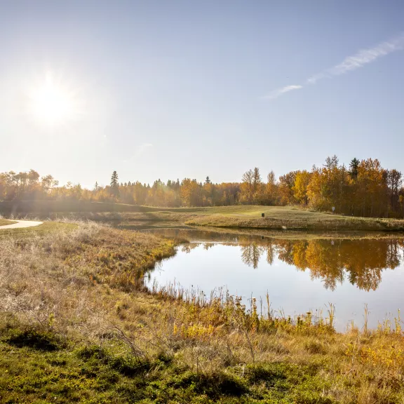 sun shining over pond on a fall day