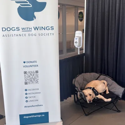 A therapy dog lounges on a fold-up chair next to a banner that talks about "Dogs with Wings - Assistance dog society"
