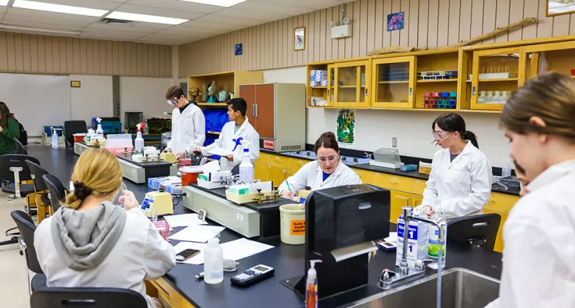 University Sciences students working in lab