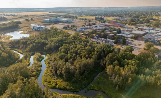 Aerial view of RDP's main campus. Features a winding creek, lush green trees, and the school buildings
