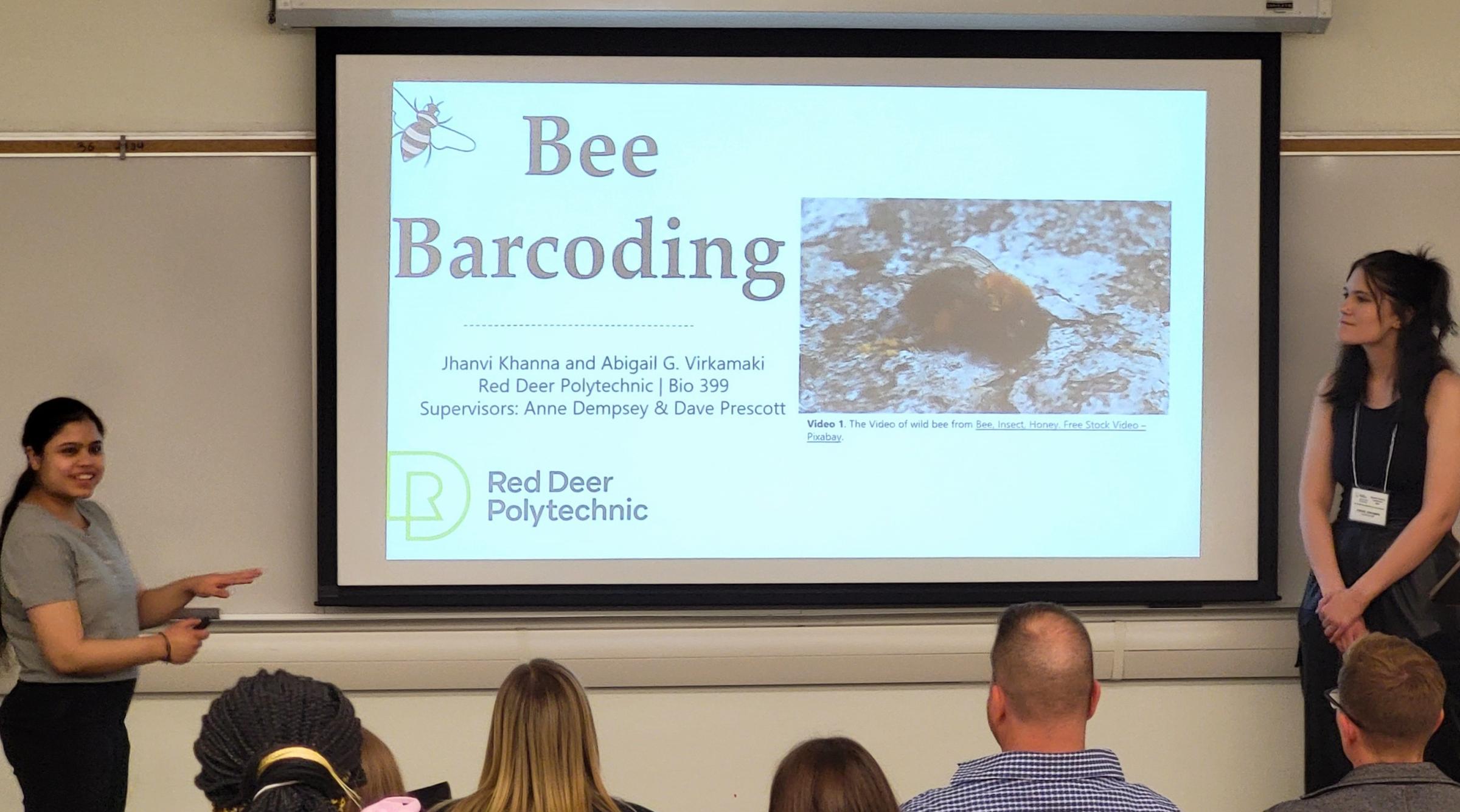 Two female students stand in front of an audience with a presentation being projected called "Bee Barcoding"