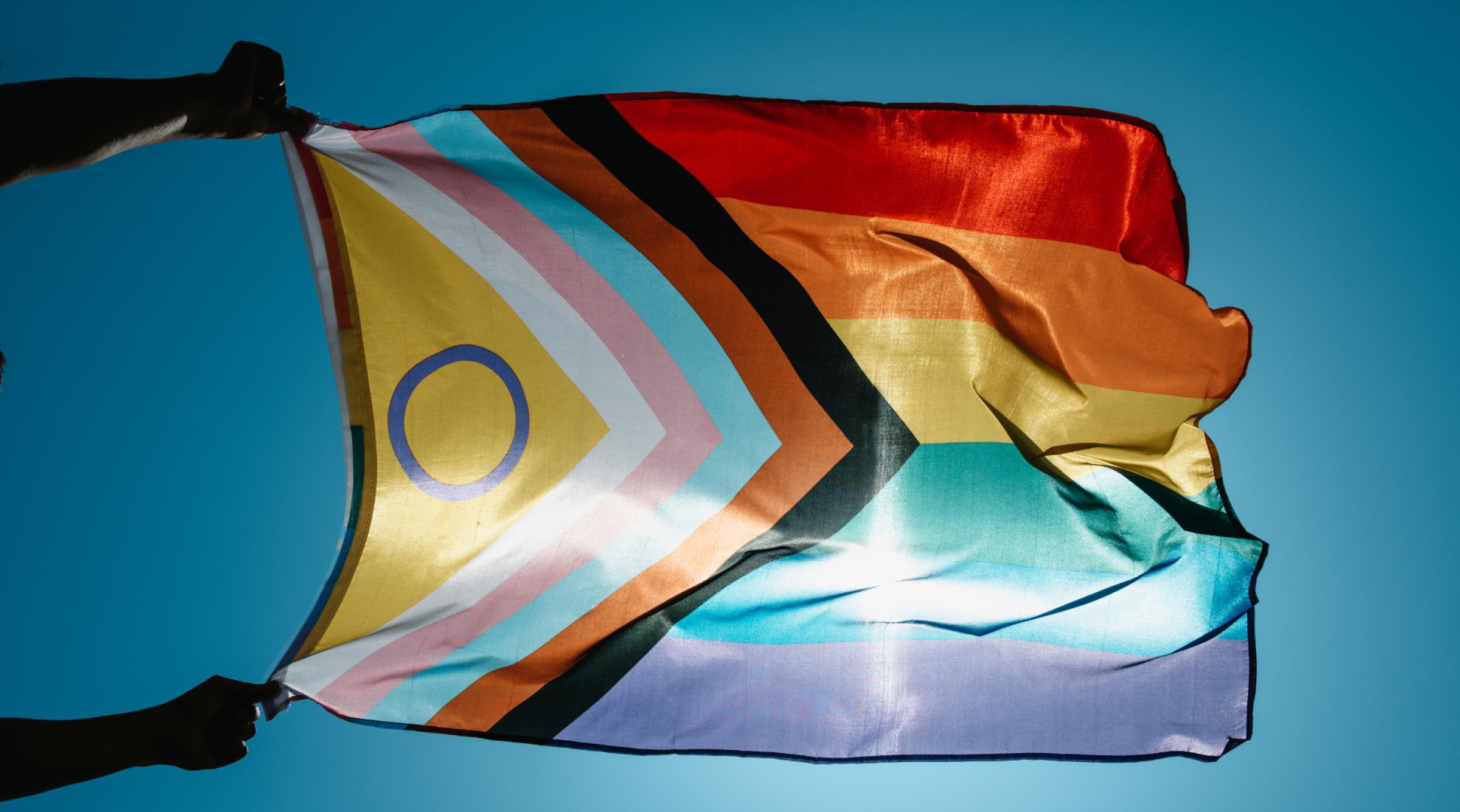 Two hands hold a progressive pride flag in the air, the sun shines through the semi-translucent fabric.