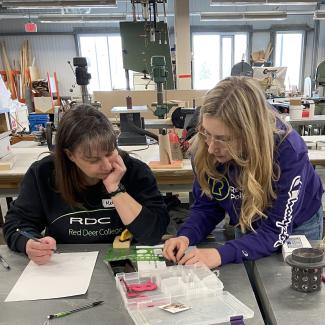 Teena, in a purple long sleeve shirt helps a student who is seated at a metal working table.