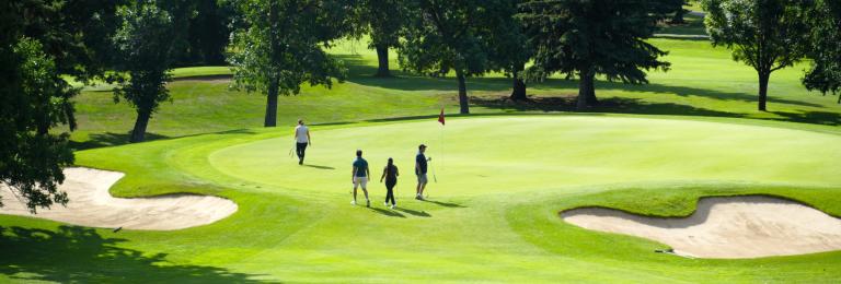 A long shot of a group walking onto a manicured green of a golf course. There are yellow flowers in the foreground