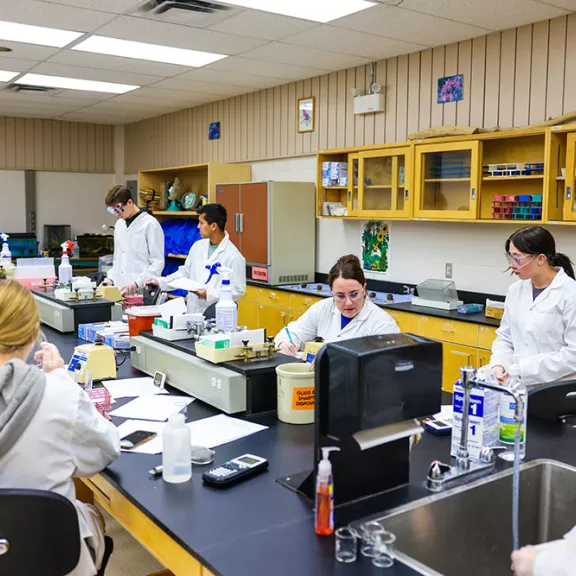 University Sciences students working in lab