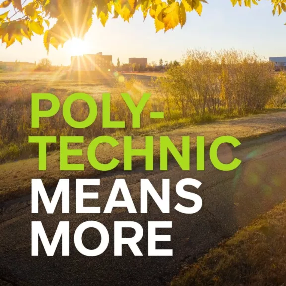 Polytechnic Means MORE graphic