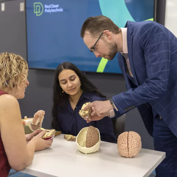 Psychology instructor examining brain model with two students