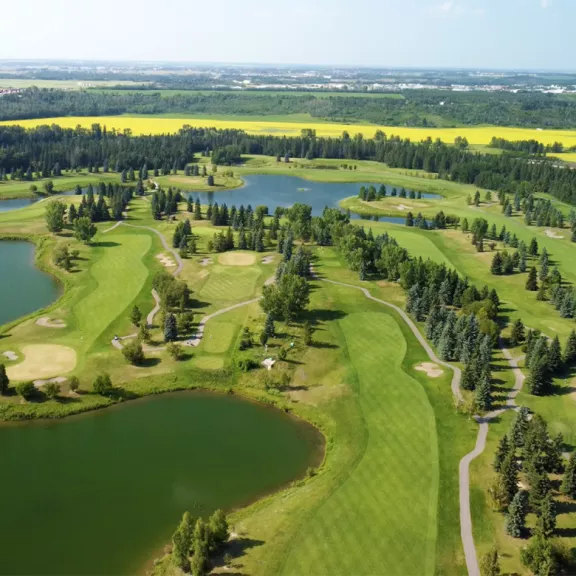 An aerial view of a golf course with lines of trees and large water ponds.